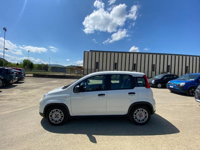 FIAT Panda *PROMO* 1.0 FireFly S&S Hybrid
