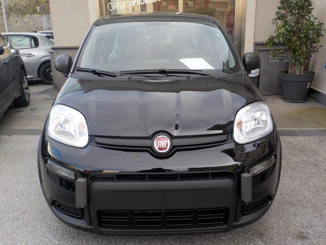 FIAT Panda MY25 - 1.0 FireFly Hybrid ICON