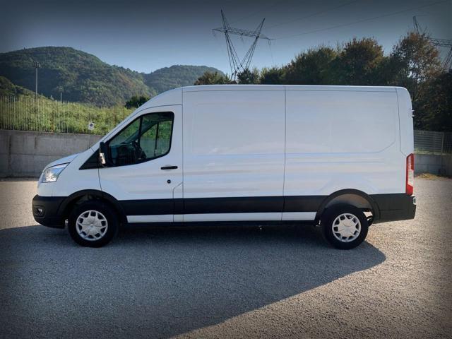 FORD Transit 350 2.0TDCi EcoBlue 170CV PL-TM Furgone Trend