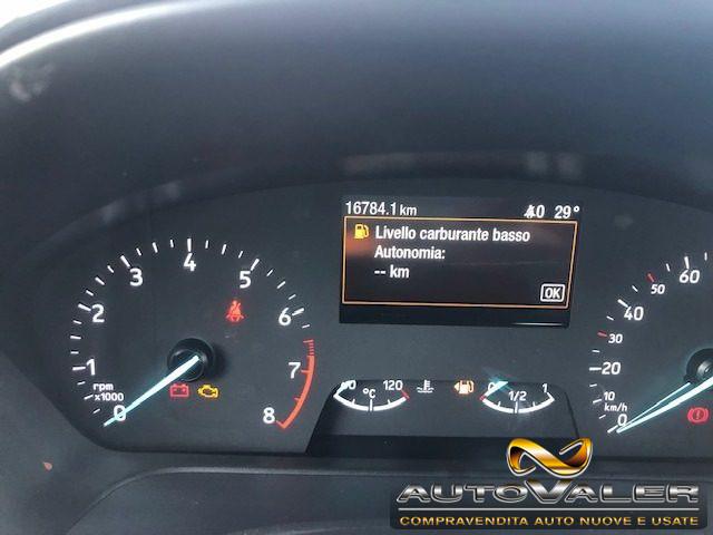 FORD Puma 1.0 EcoBoost Hybrid 125 CV Titanium