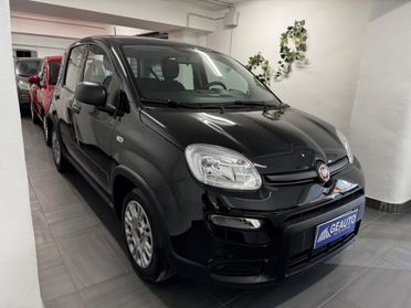 Fiat Panda 1.0 BENZINA/ Hybrid City Life SEMINUOVA KM 3.500