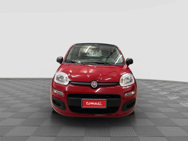 FIAT Panda Pandina 1.0 FireFly 65 CV Hybrid Icon