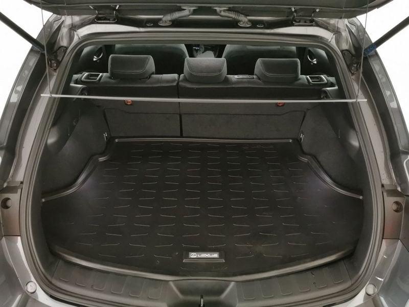 Lexus UX 250h 2.0 Urban 2wd cvt