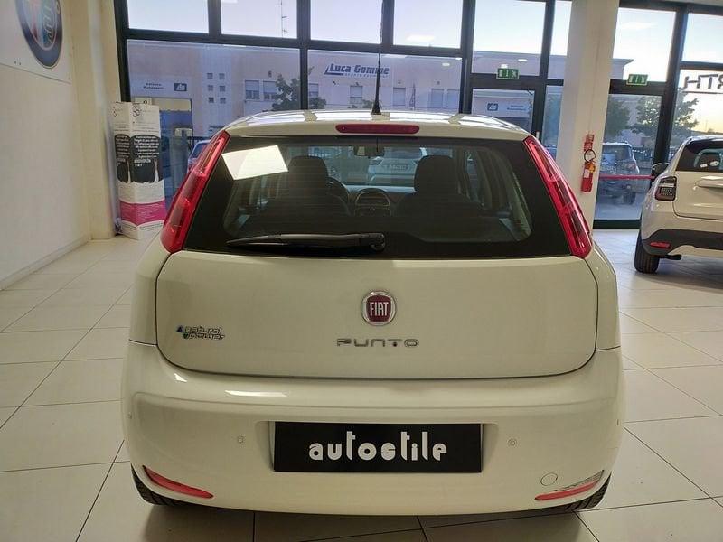 FIAT Punto Punto 1.4 8V 5 porte Natural Power Young