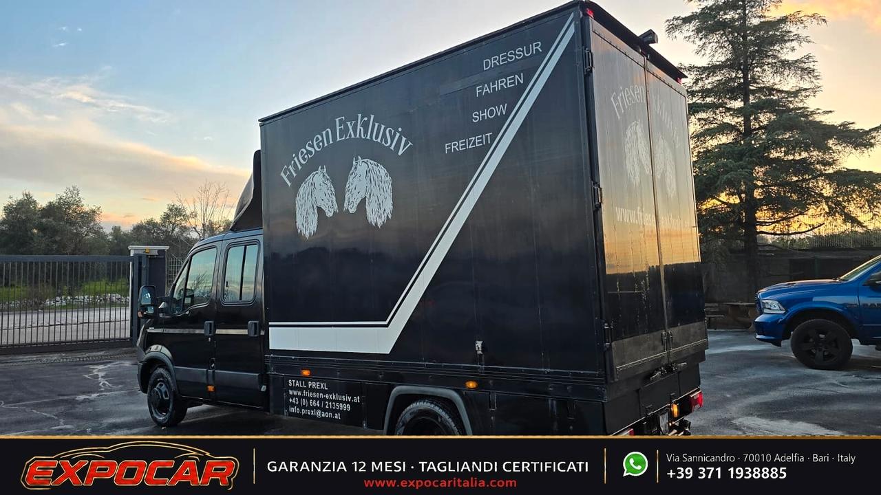 Iveco Daily - Trasporto Cavalli