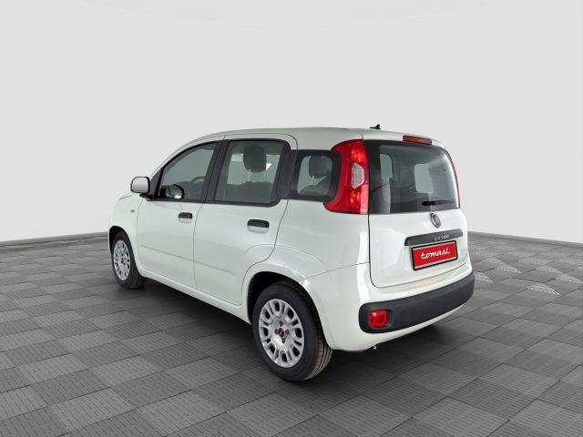 FIAT Panda Panda 1.0 FireFly 70cv S&S Hybrid E6d-Final EASY