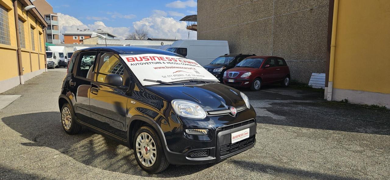 Fiat Panda 1.0 FireFly S&S Hybrid 70 CV KM. 15000 PRONTA CONSEGNA - AUTO PER NEOPATENTATI