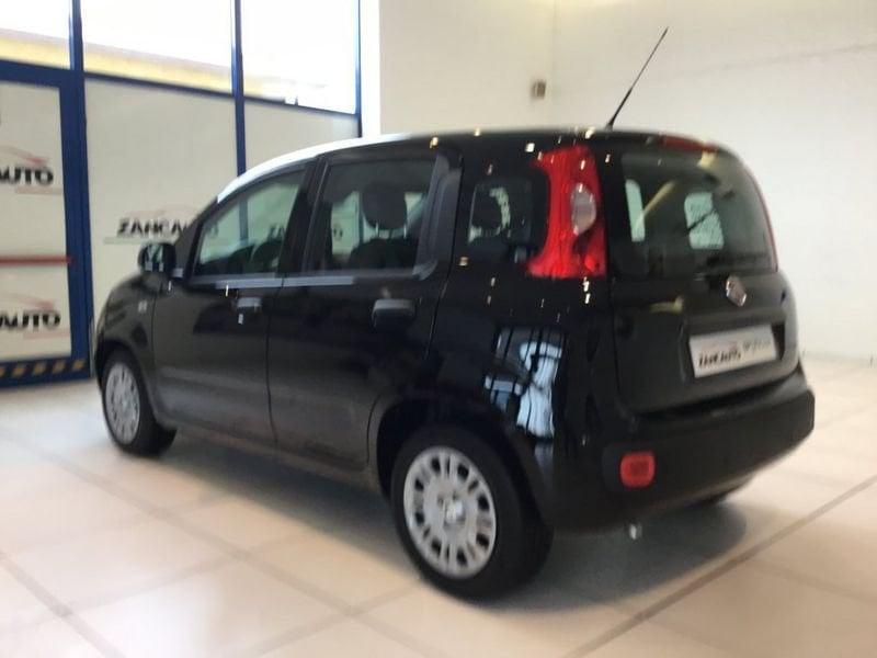 FIAT Panda Panda 1.0 FireFly S&S Hybrid Pop 65cv