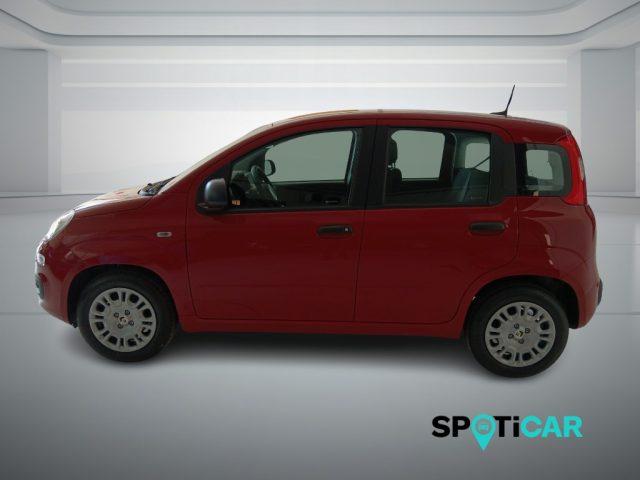 FIAT Panda 1.0 FireFly S&S Hybrid Icon