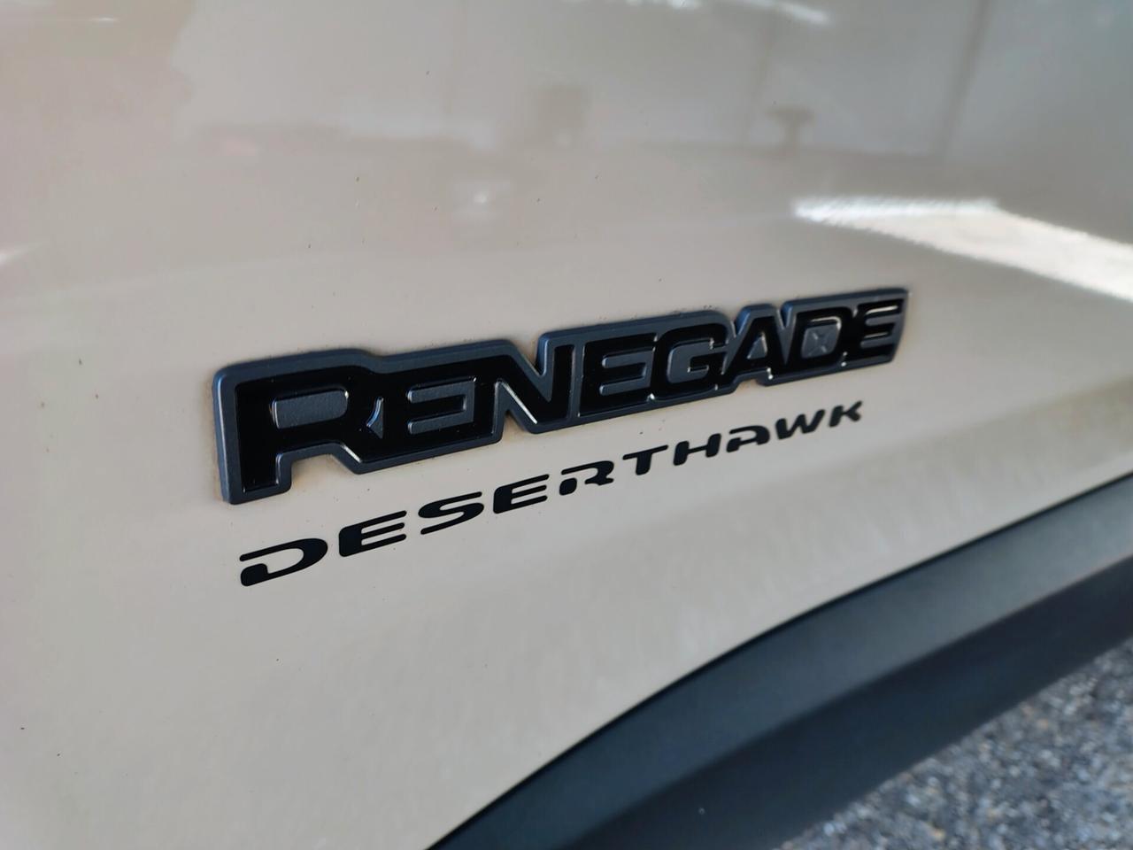 Jeep Renegade 2.0 Mjt 170CV 4WD Active Drive Low Trailhawk