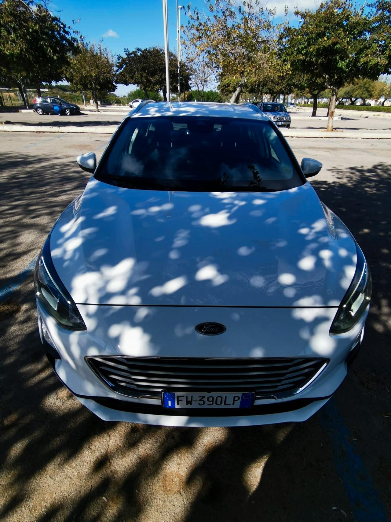 Ford Focus 1.5 EcoBlue 120 CV SW Business 2019