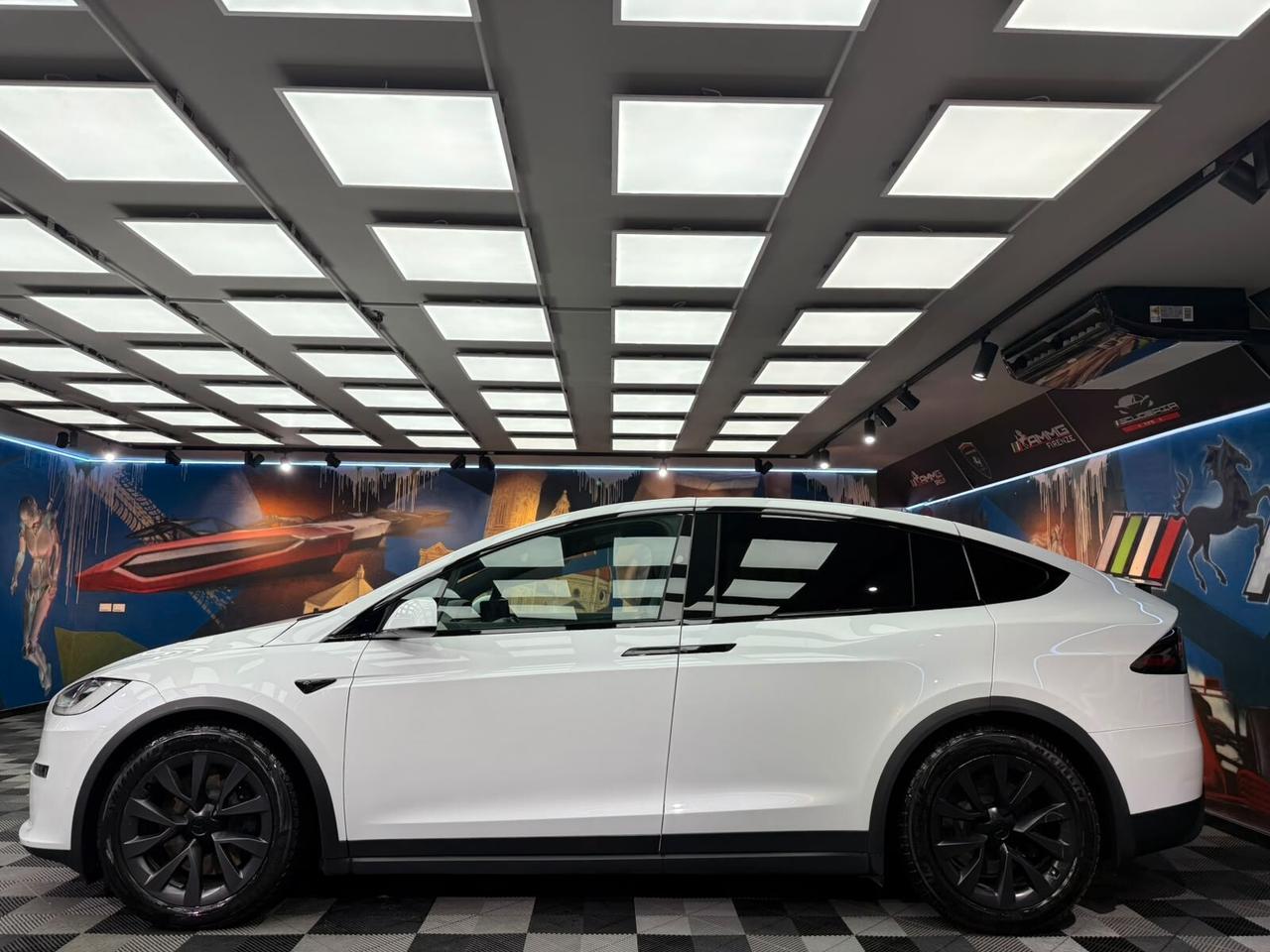 Tesla Model X Dual Motor AWD (803)