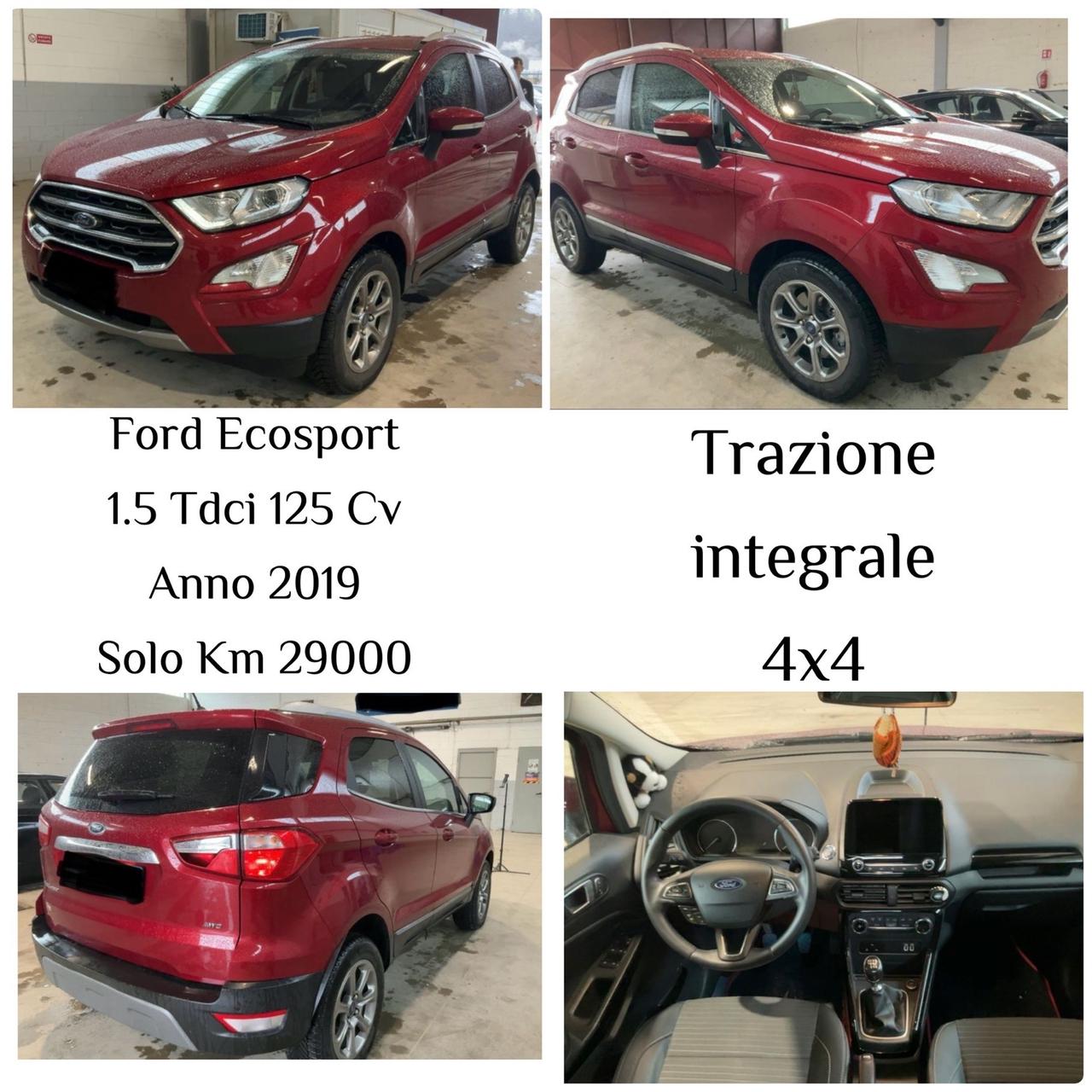 Ford EcoSport 1.5 125 CV 4x4 Titanium-solo km29000-
