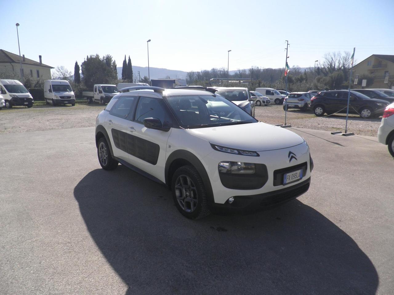 Citroen C4 Cactus 1.6 bluehdi Shine 100cv