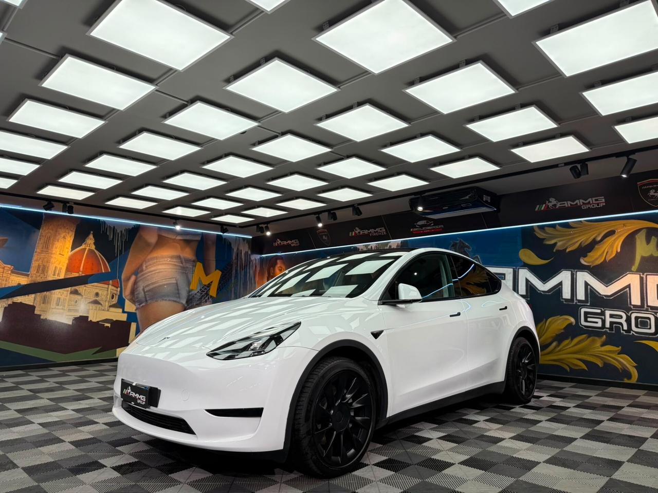 Tesla Model Y RWD (050)
