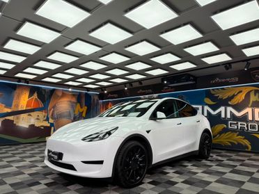 Tesla Model Y RWD (050)