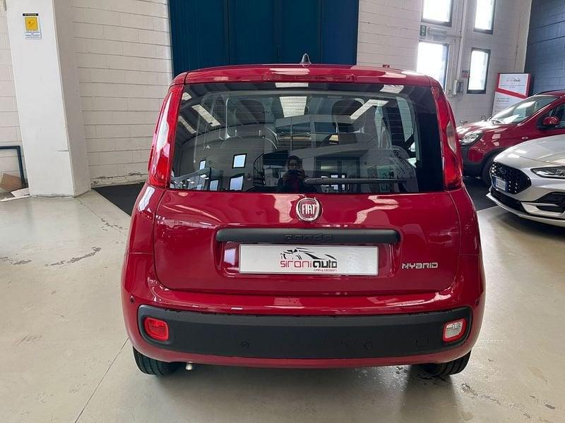 FIAT Panda Panda 1.0 FireFly S&S Hybrid - PROMO SIRONIAUTO+