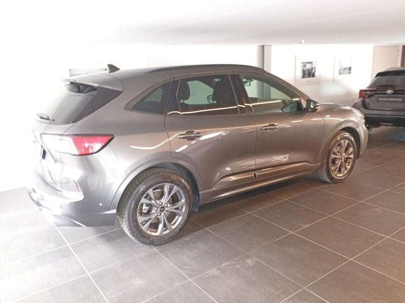 Ford Kuga 1.5 EcoBlue 120 CV aut. 2WD ST-Line X