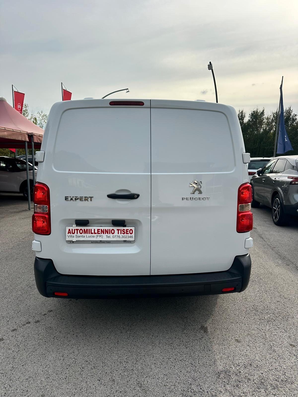 Peugeot EXPERT PRO-LONG allestito FRIGO fresco senza ATP