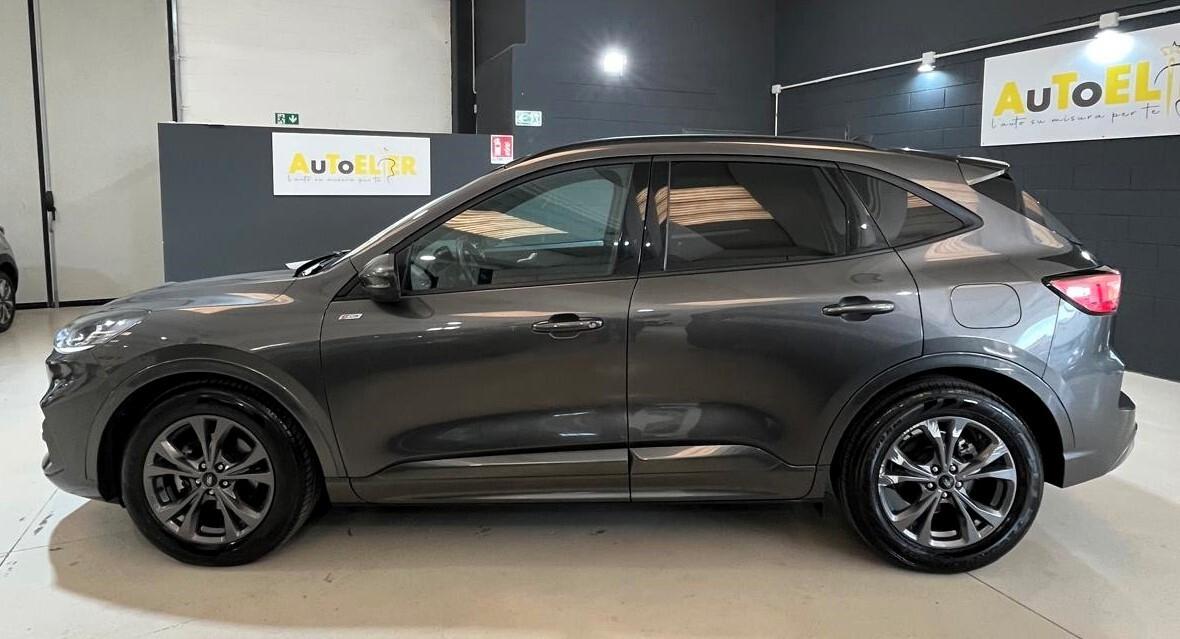 Ford Kuga 2.0 EcoBlue 120 CV aut. 2WD ST-Line