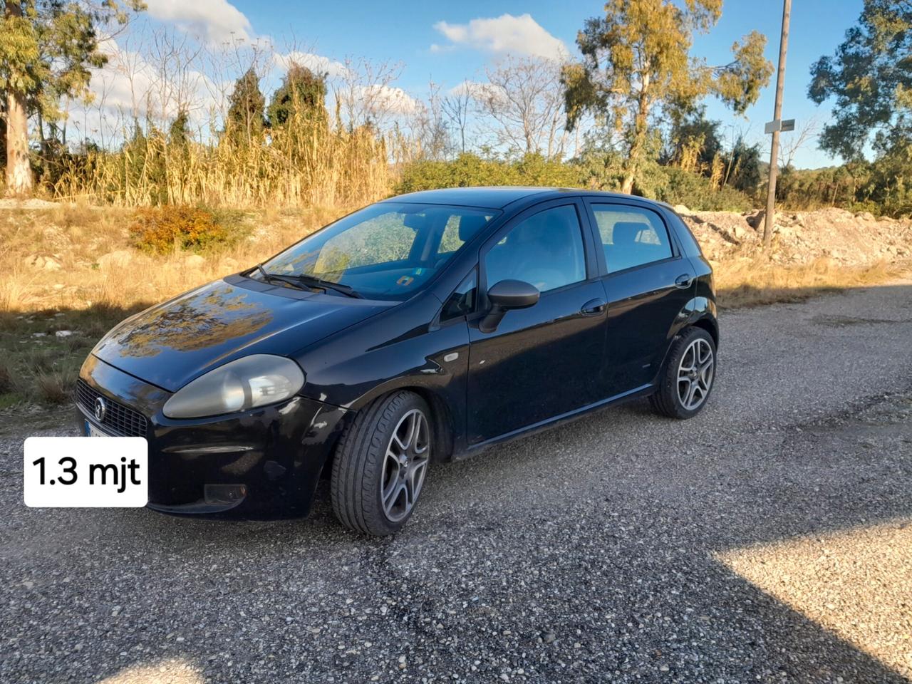 Fiat Grande Punto 1.3 MJT 75 CV 5 porte Dynamic