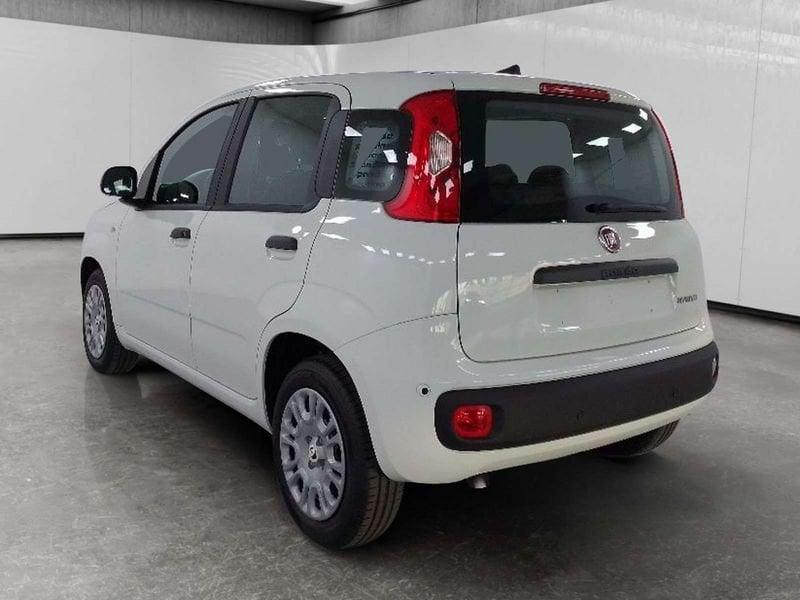 FIAT Pandina 1.0 firefly hybrid Icon s&s 70cv 5p.ti