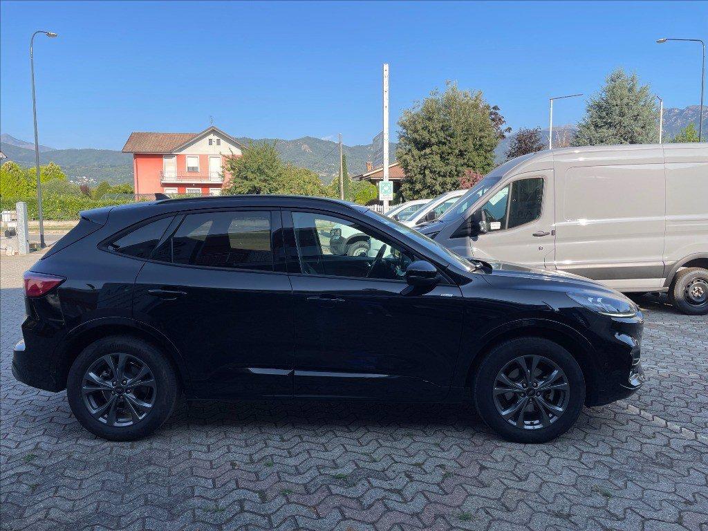 FORD Kuga 2.0 ecoblue ST-Line X awd 120cv auto del 2023