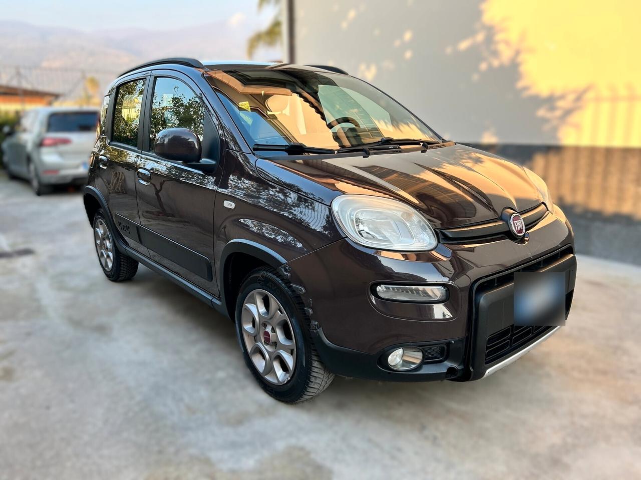 Fiat Panda 1.3 MJT 75CV 4x4 - 2013
