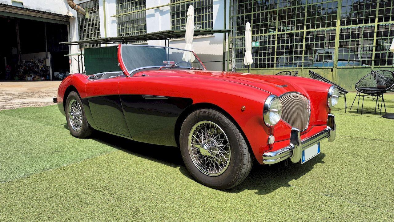 Austin-Healey 100 BN1 – 1954
