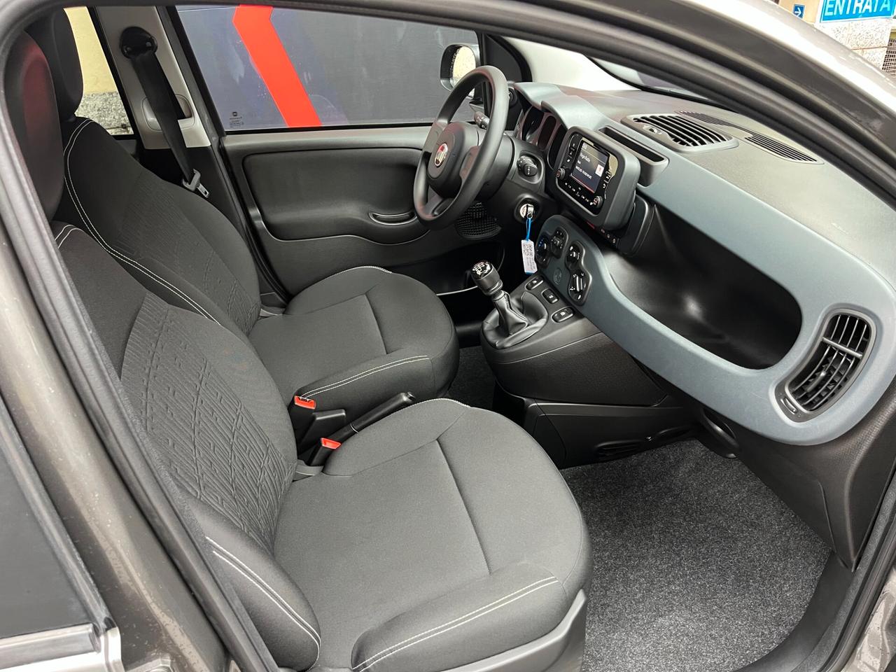 FIAT PANDA 1.0 FIREFLY HYBRID 70CV 5 POSTI - NO VINCOLI