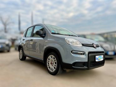 Fiat Panda 1.2 EasyPower Easy X NEOPATENTATI