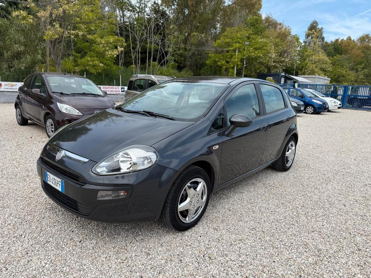 Fiat Punto Evo 1.2 5 porte Active