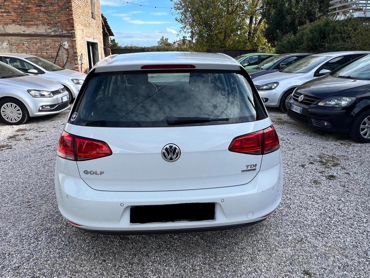 Volkswagen Golf 1.6 TDI 90 CV 5p. Tech&Sound BlueMotion Technology