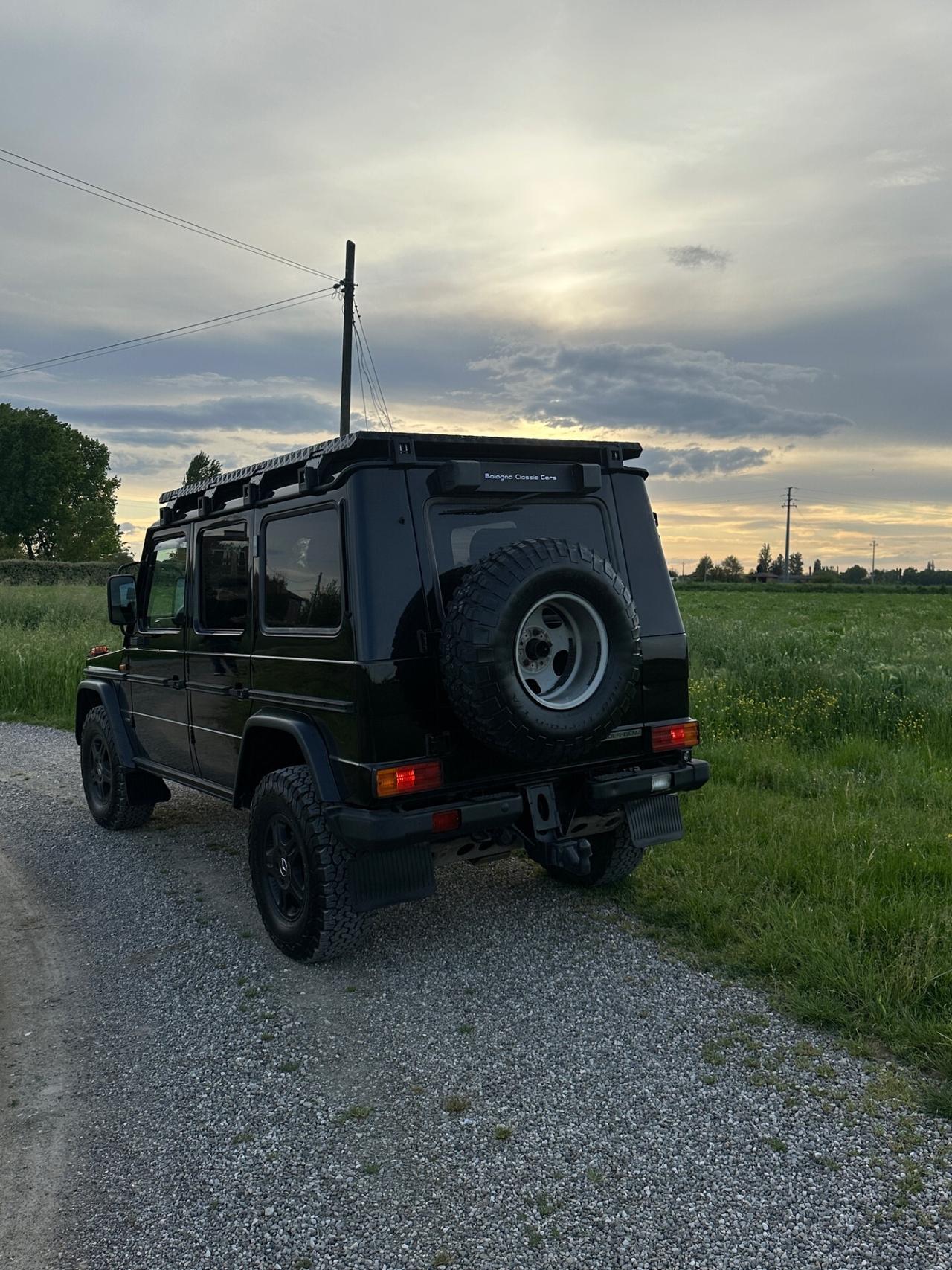 Mercedes-benz G 300 Professional