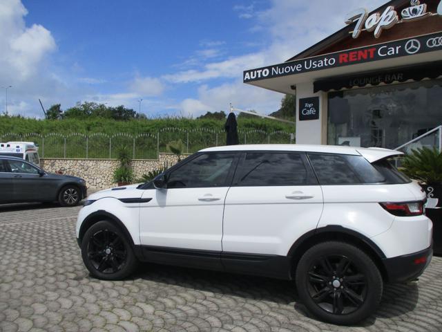 LAND ROVER Range Rover Evoque 2.0 TD4 150 CV 5p. Business Edition