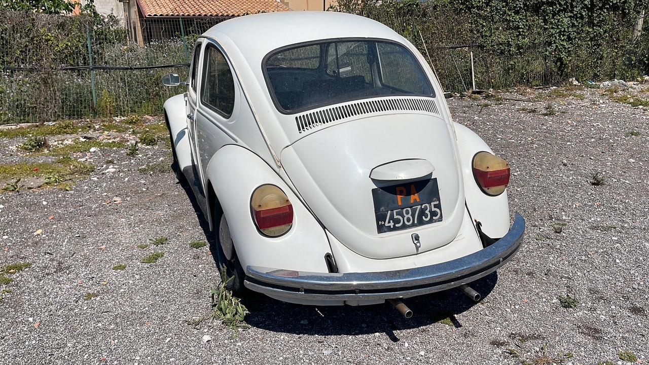 Volkswagen Maggiolino