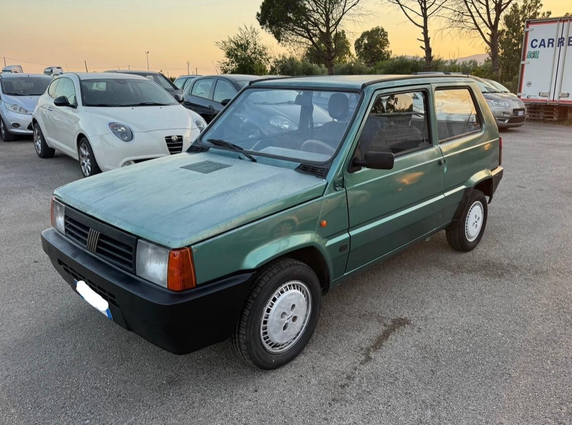 Fiat Panda 1100 i.e. cat Hobby