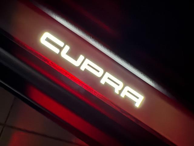 CUPRA Formentor 2.0 TDI 150 CV 4Drive DSG ''OPACA''