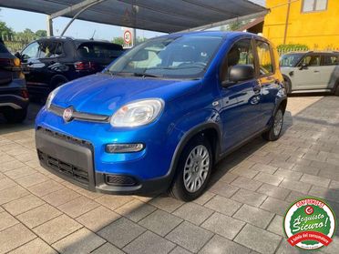 FIAT Panda Pandina 1.0 firefly hybrid s
