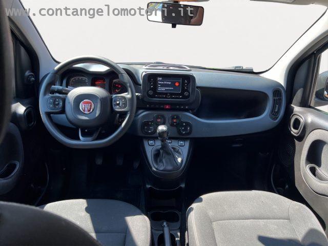 FIAT Panda 1.0 FireFly S&S Hybrid unico proprietario