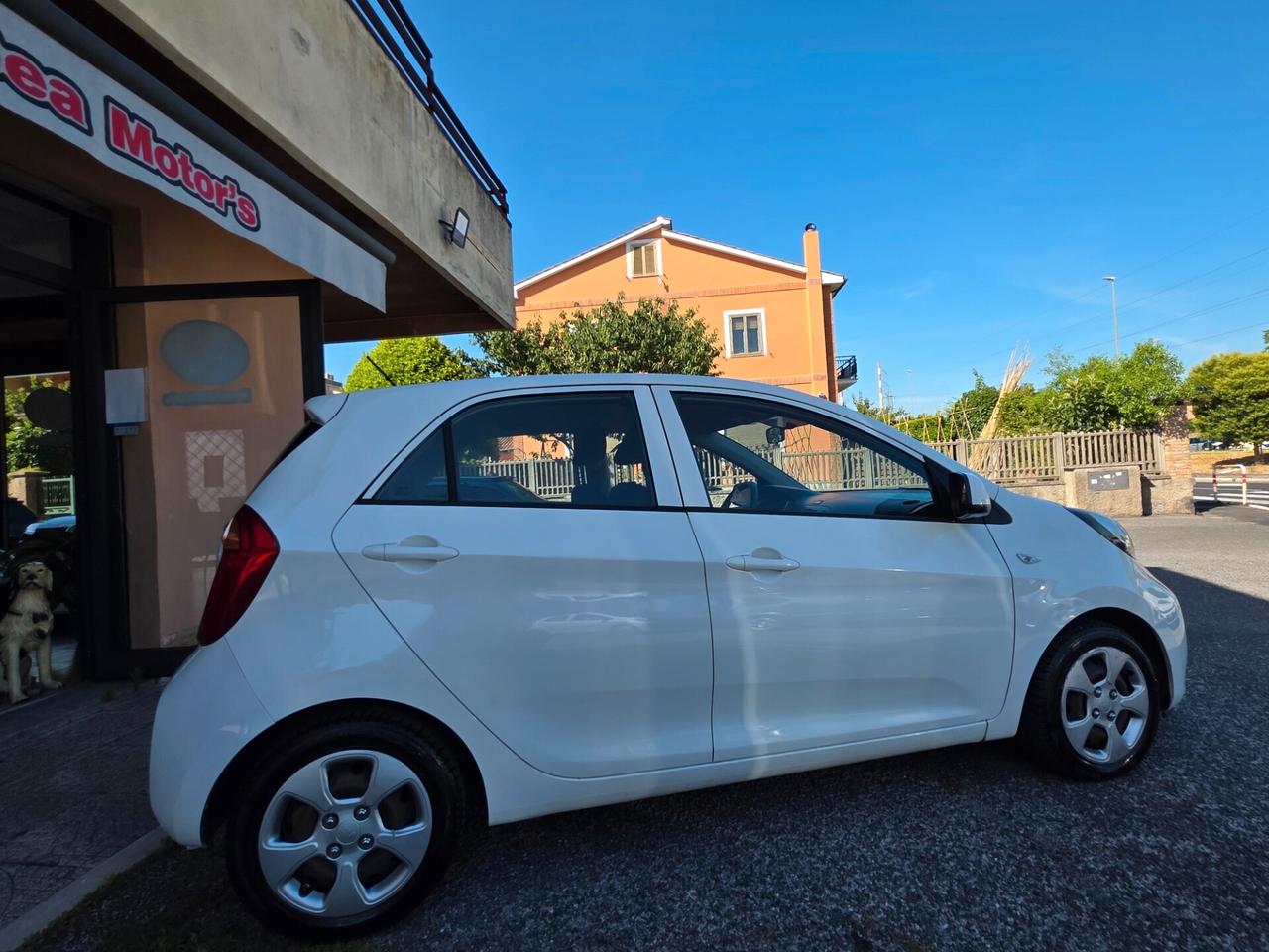 Kia Picanto 1.0 12V 5 porte Active per neopatentati