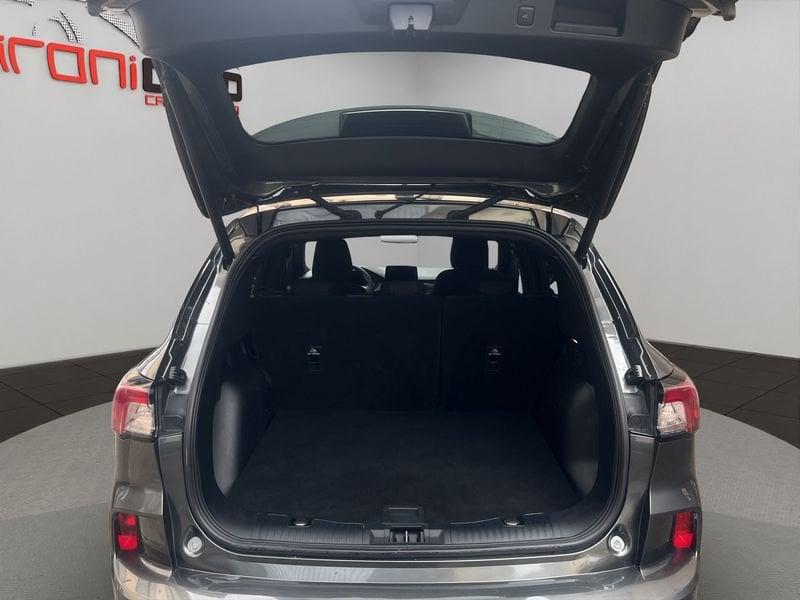 Ford Kuga Kuga 2.0 ecoblue ST-Line 2wd 120cv auto