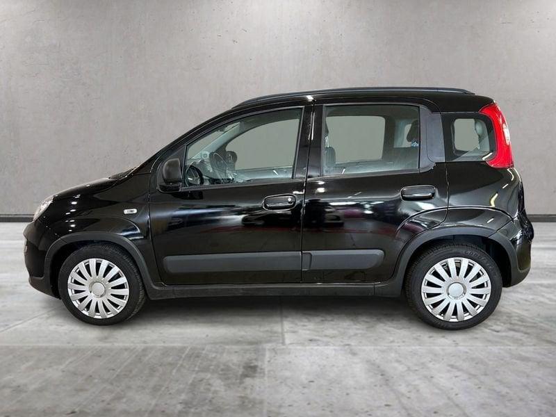 FIAT Panda 1.0 FireFly 70cv S&S Hybrid City Life