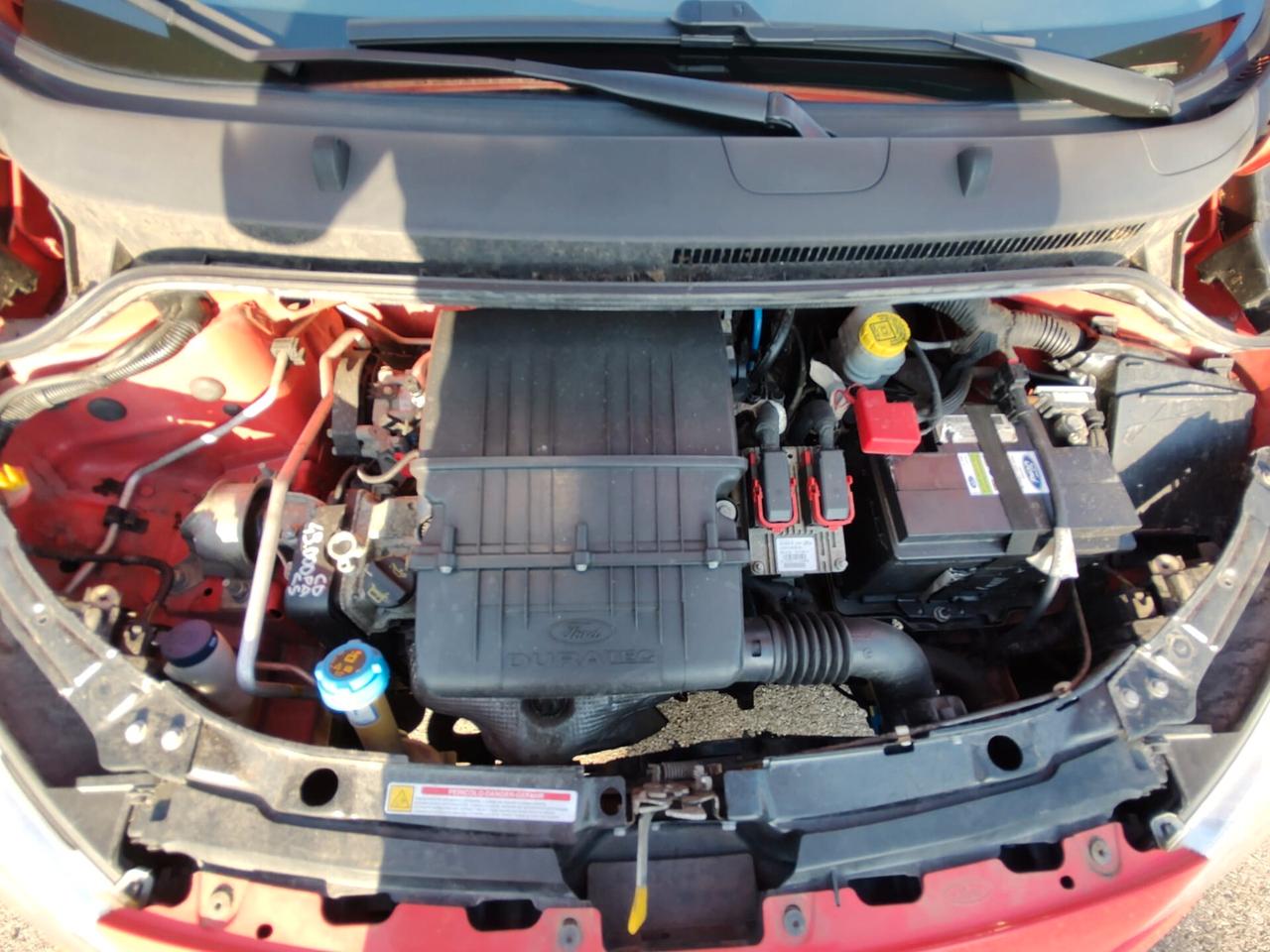 Ford Ka Ka+ 1.2 8V 69CV, SOLO 50.000 KM, EURO 5 BENZINA, OK NEOPATENTATI, GARANZIA L.12 MESI