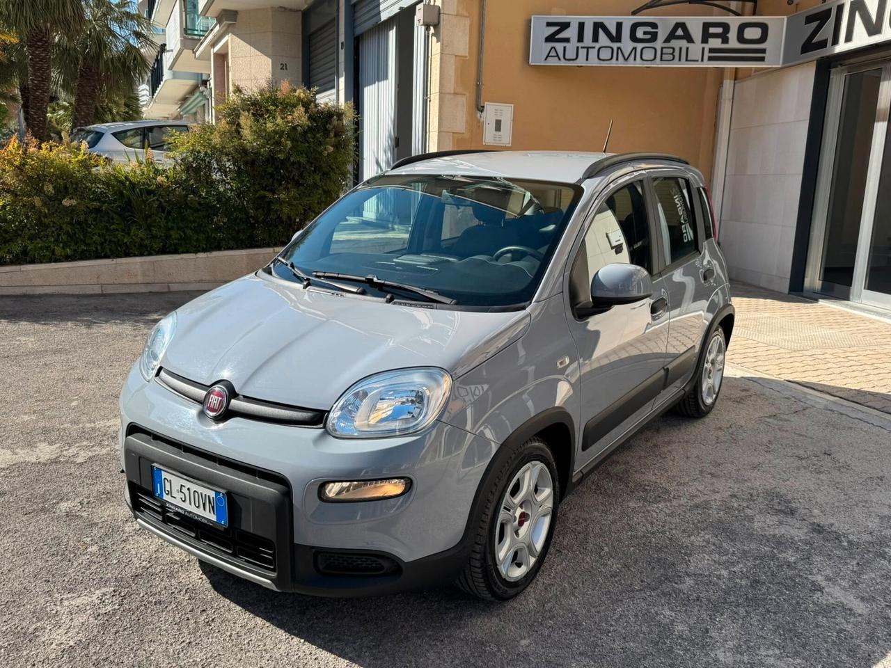 FIAT PANDA 1.0 FIREFLY HYBRID CITY LIFE PERFETTA