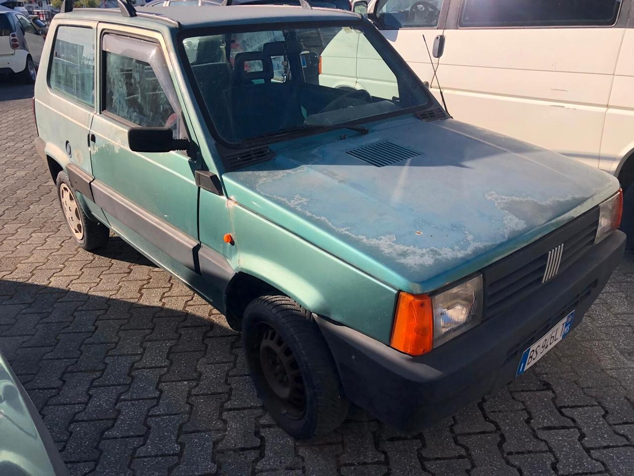 Fiat Panda 900 i.e. cat Young