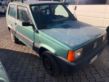 Fiat Panda 900 i.e. cat Young
