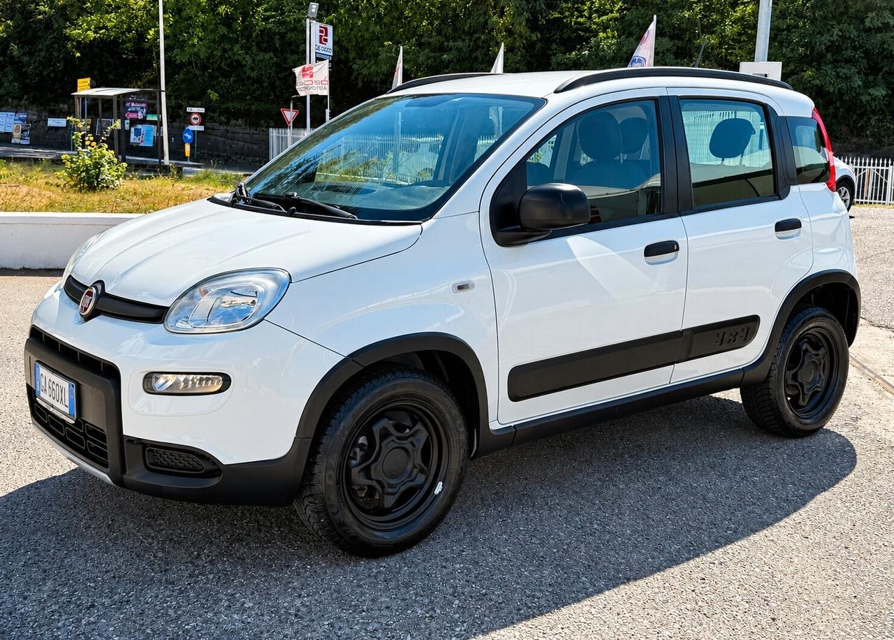 Fiat Panda 0.9 TwinAir Turbo S&S 4x4