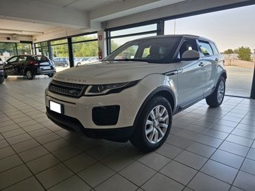 Land Rover Range Evoque 2.0 TD4 150 CV 5p. Business Edition Pure