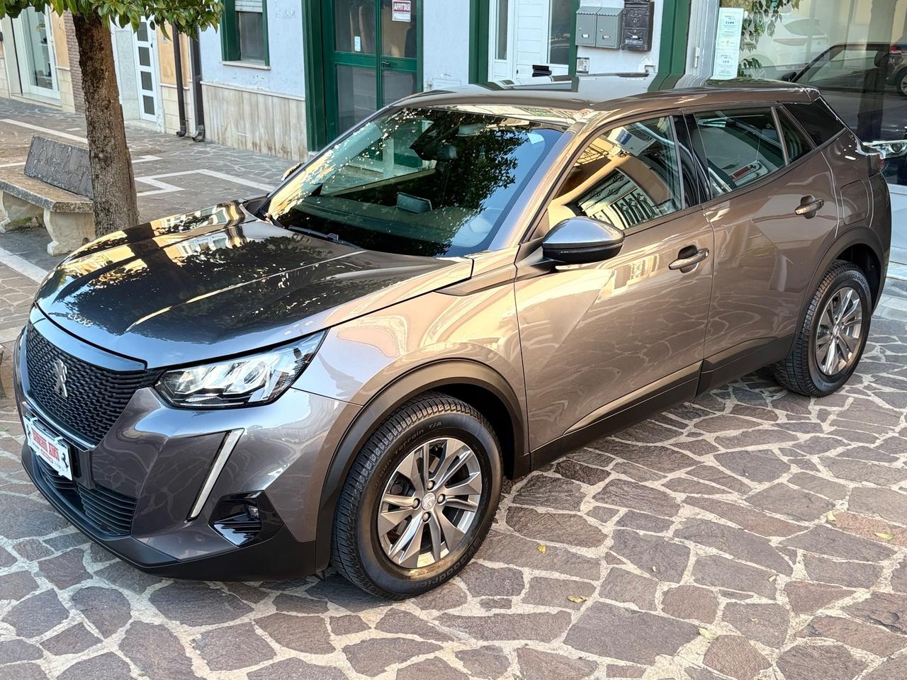 Peugeot 2008 BlueHDi 110 Active FULL LED/NAV/CAM